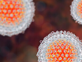 Hepatis-C-Virus Modell Elektronenmikroskop
